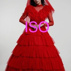 ISO Miccocostumes Beetlejuice Lydia Deetz dress.